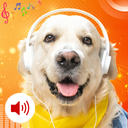 Animal Ringtones and Sounds