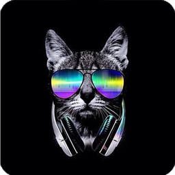 black Wallpaper - amoled darkify backgrounds