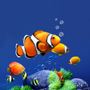 Aquarium Live Wallpaper HD