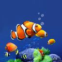 Aquarium Live Wallpaper HD