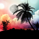 Tropical Night Live Wallpaper