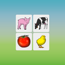 Family Memory Cards