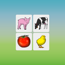 Family Memory Cards