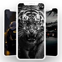 Black Wallpaper 2