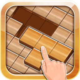 Wooden Block Puzzle