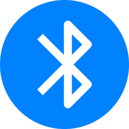 Bluetooth device auto connect