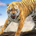 Lion Simulator 3d Animal Game