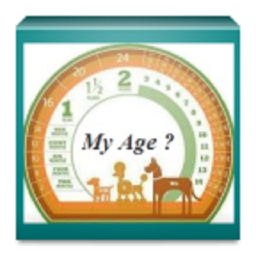 Age Calculator