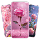 Flowers wallpapers