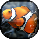 Fish Aquarium Live Wallpaper