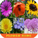 Learn Flower Name