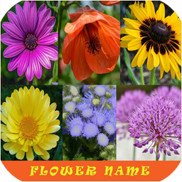 Learn Flower Name