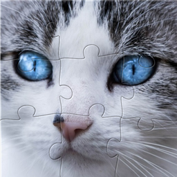 Cats Jigsaw Puzzle