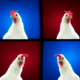 Techno Chicken Song - CoCoCo 🐔 🐓