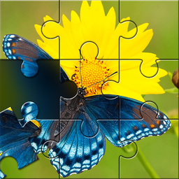 Butterfly Jigsaw Puzzle Games