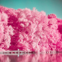 Analog Film Pink Camera-Palett
