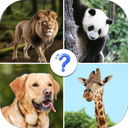 Guess The Animal: Animals Quiz