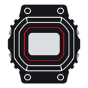 CASIO WATCHES