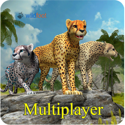 Cheetah Multiplayer