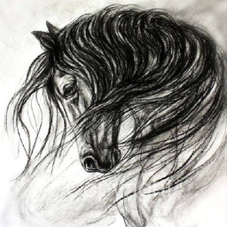 Sketch and Draw a Horse