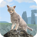 Clan of Cats