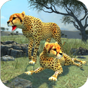 Clan of Cheetahs