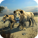 Clan of Lions