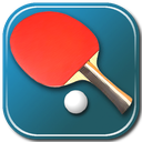 Virtual Table Tennis 3D