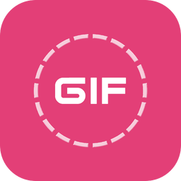 HD Video to GIF Converter