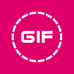 HD Video to GIF Converter