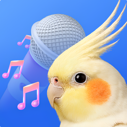 Paramooz - Bird Singing Teacher