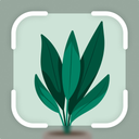 Plantify: AI Plant Identifier