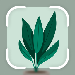 Plantify: AI Plant Identifier