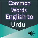 Common Words English to Urdu