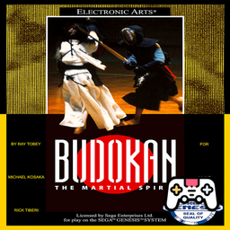 Budokan: The Martial Spirit