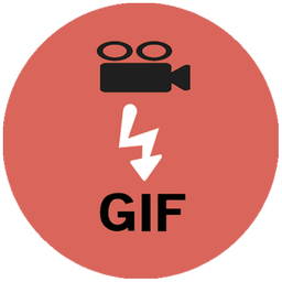 Video to Gif Converter - Gif Maker