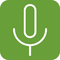 Background voice recorder