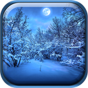 Winter Night Live Wallpaper