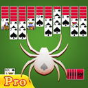 Spider Solitaire Pro - No Wifi