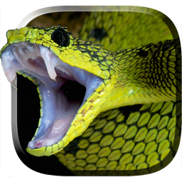 Snake Live Wallpaper