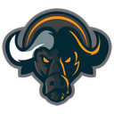 Buffalo Network