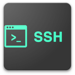 Mobaxterm SSH