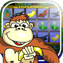 Crazy Monkey slot machine