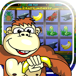 Crazy Monkey slot machine