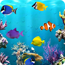 Aquarium Fish Live Wallpaper