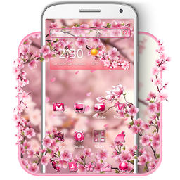 Cute Pink Cherry Blossom Theme