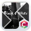 Black White Theme