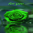 Green Rose For You LWP