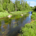 Nature Green River LWP