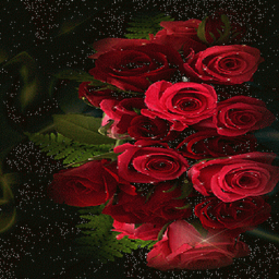Red Roses Shine LWP